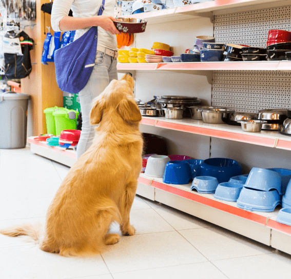 En Planetpiensos Natura somos especialistas en alimentos naturales para mascotas.